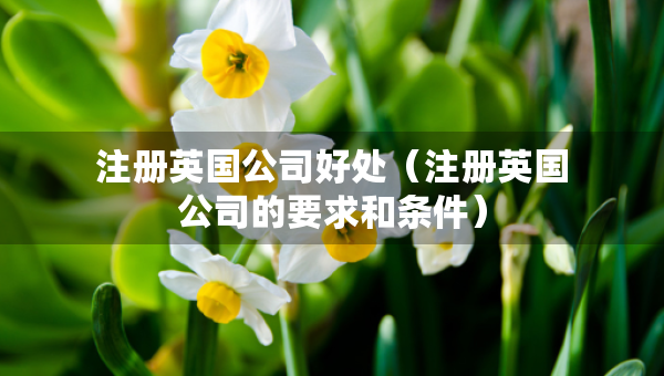 注册英国公司好处（注册英国公司的要求和条件）