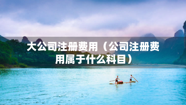 大公司注册费用（公司注册费用属于什么科目）