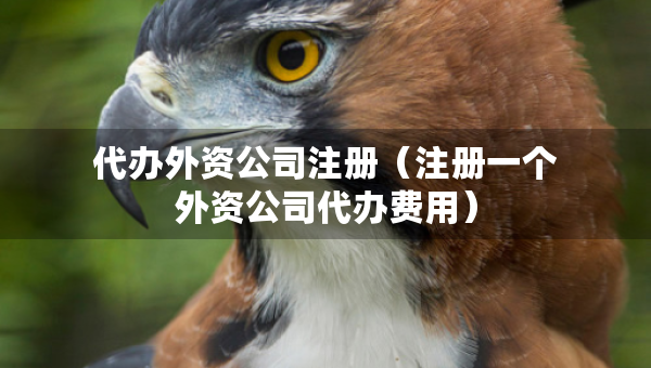 代办外资公司注册（注册一个外资公司代办费用）