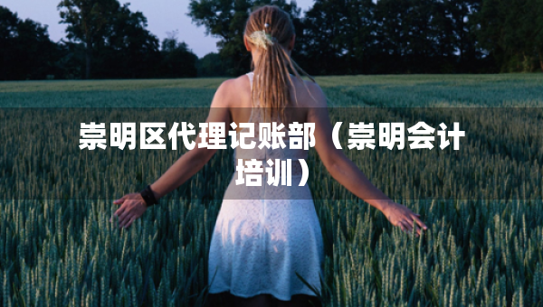 崇明区代理记账部（崇明会计培训）