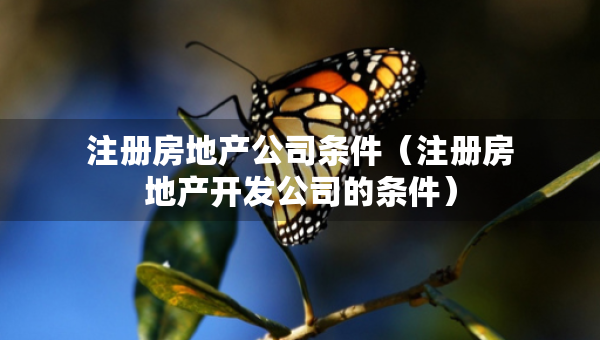 注册房地产公司条件（注册房地产开发公司的条件）