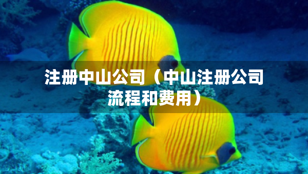 注册中山公司（中山注册公司流程和费用）