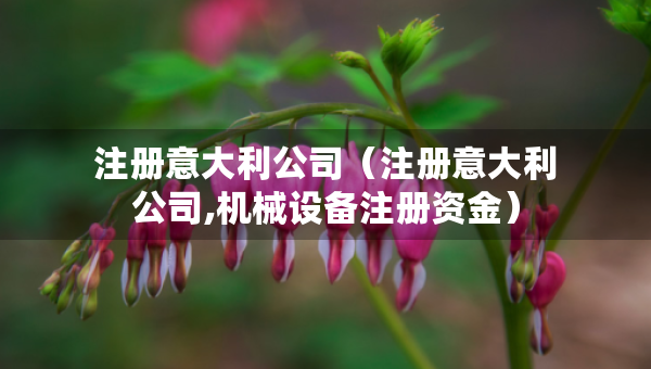 注册意大利公司（注册意大利公司,机械设备注册资金）
