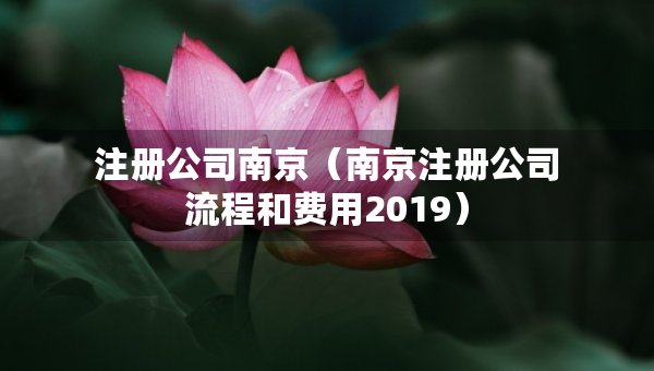 注册公司南京（南京注册公司流程和费用2019）
