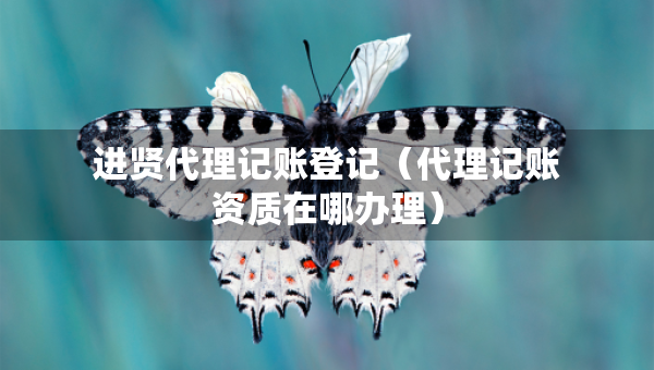 进贤代理记账登记（代理记账资质在哪办理）