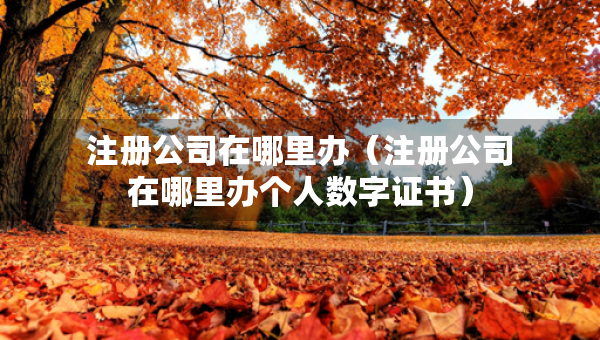 注册公司在哪里办（注册公司在哪里办个人数字证书）