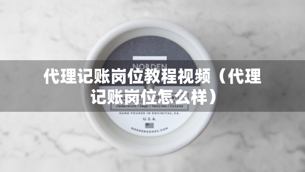 代理记账岗位教程视频（代理记账岗位怎么样）