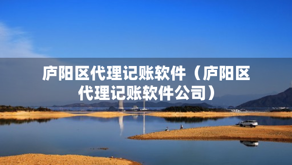 庐阳区代理记账软件（庐阳区代理记账软件公司）