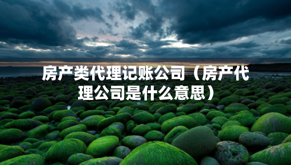 房产类代理记账公司（房产代理公司是什么意思）