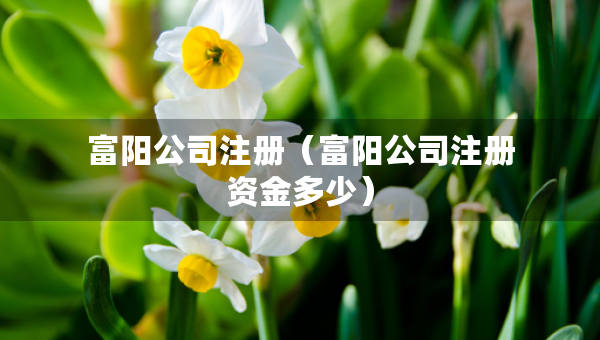 富阳公司注册（富阳公司注册资金多少）
