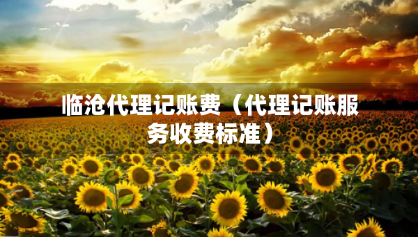 临沧代理记账费（代理记账服务收费标准）