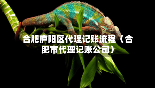 合肥庐阳区代理记账流程(合肥市代理记账公司) 合肥庐阳区代理记账流程(合肥市代理记账公司)