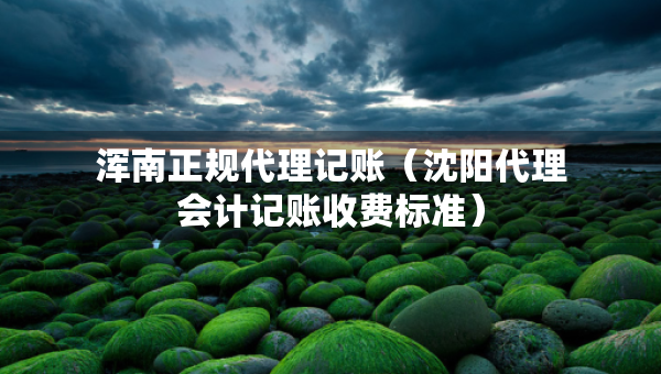 浑南正规代理记账（沈阳代理会计记账收费标准）