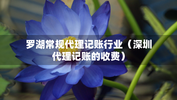 罗湖常规代理记账行业（深圳代理记账的收费）