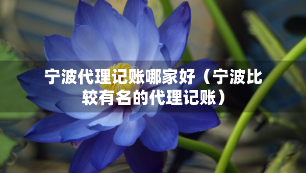 宁波代理记账哪家好（宁波比较有名的代理记账）
