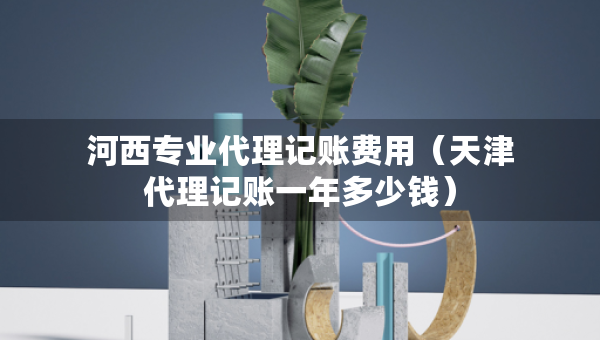 河西专业代理记账费用（天津代理记账一年多少钱）