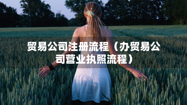 贸易公司注册流程（办贸易公司营业执照流程）