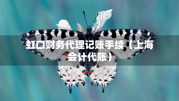 虹口财务代理记账手续（上海会计代账）