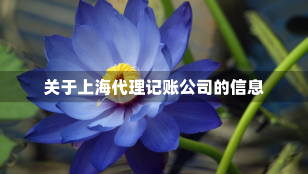 关于上海代理记账公司的信息