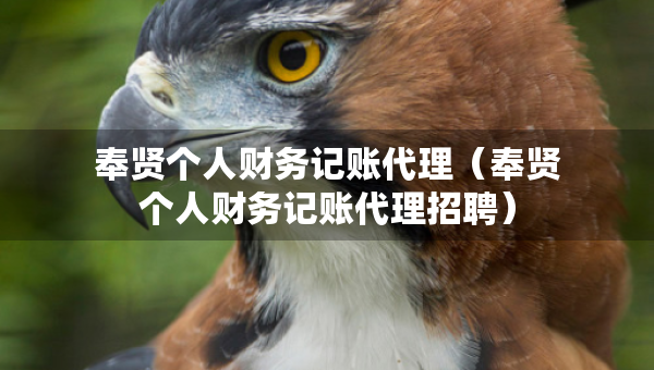 奉贤个人财务记账代理（奉贤个人财务记账代理招聘）