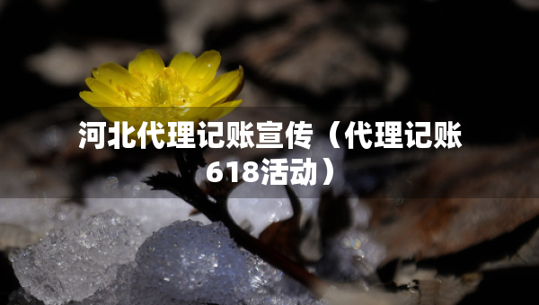 河北代理记账宣传（代理记账618活动）