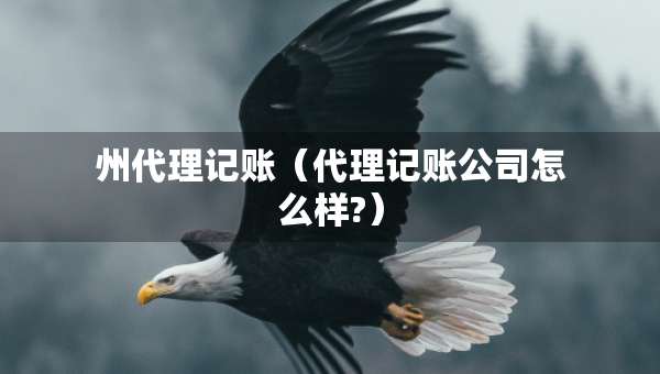 州代理记账（代理记账公司怎么样?）