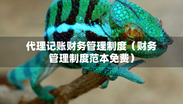 代理记账财务管理制度（财务管理制度范本免费）