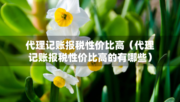 代理记账报税性价比高（代理记账报税性价比高的有哪些）