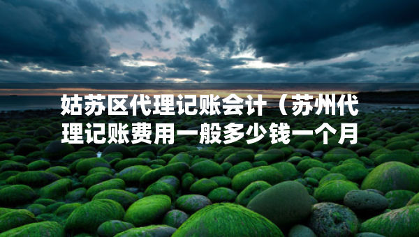 姑苏区代理记账会计(苏州代理记账费用一般多少钱一个月) 姑苏区代理记账会计(苏州代理记账费用一般多少钱一个月)