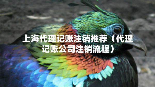 上海代理记账注销推荐（代理记账公司注销流程）