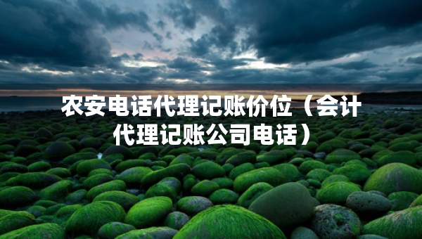 农安电话代理记账价位（会计代理记账公司电话）