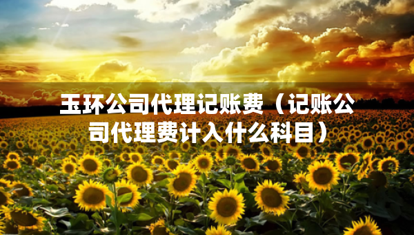 玉环公司代理记账费（记账公司代理费计入什么科目）