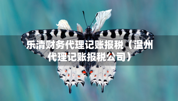 乐清财务代理记账报税（温州代理记账报税公司）