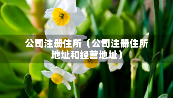 公司注册住所（公司注册住所地址和经营地址）
