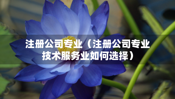 注册公司专业（注册公司专业技术服务业如何选择）