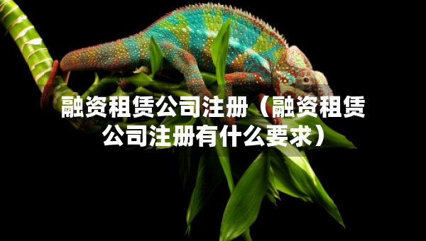 融资租赁公司注册（融资租赁公司注册有什么要求）