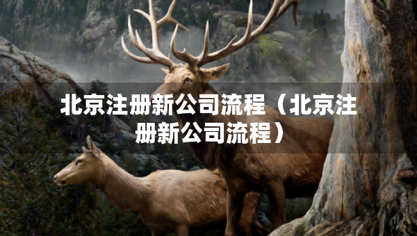 北京注册新公司流程（北京注册新公司流程）