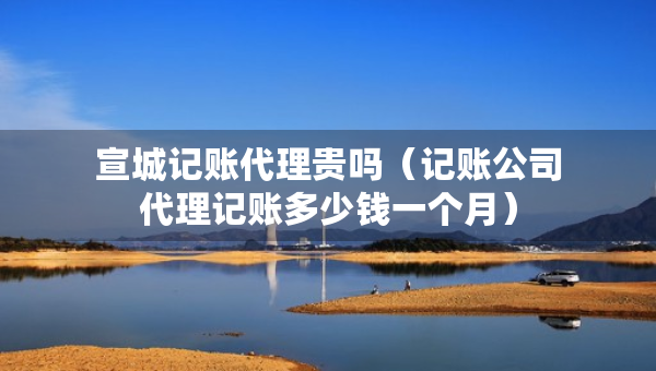 宣城记账代理贵吗（记账公司代理记账多少钱一个月）