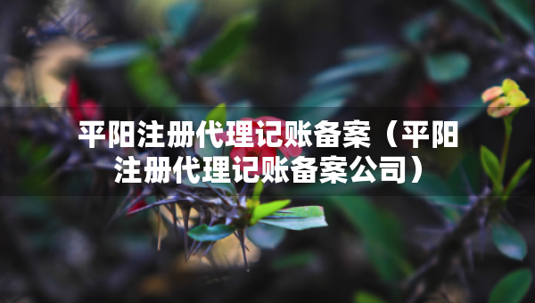 平阳注册代理记账备案（平阳注册代理记账备案公司）