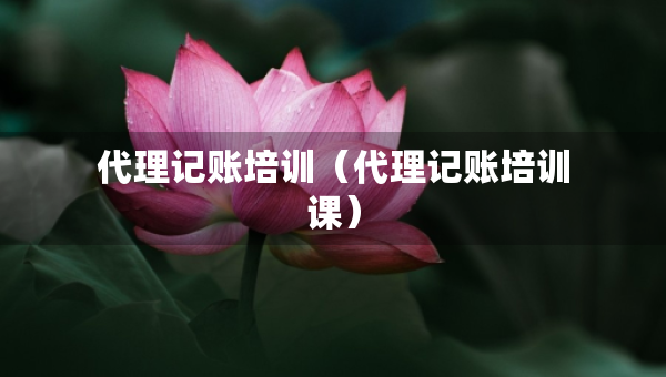 代理记账培训（代理记账培训课）