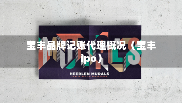 宝丰品牌记账代理概况（宝丰ipo）