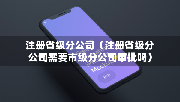 注册省级分公司（注册省级分公司需要市级分公司审批吗）