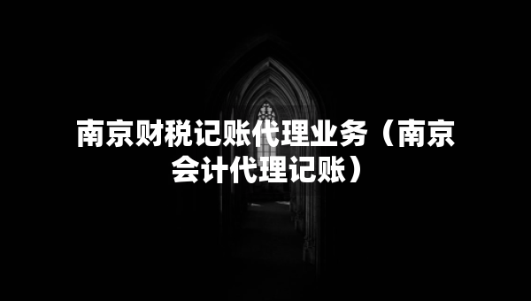 南京财税记账代理业务（南京会计代理记账）