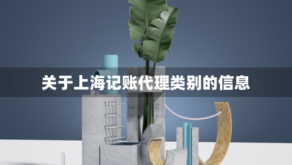 关于上海记账代理类别的信息