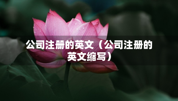 公司注册的英文（公司注册的英文缩写）