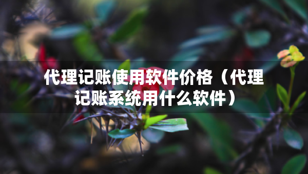 代理记账使用软件价格（代理记账系统用什么软件）