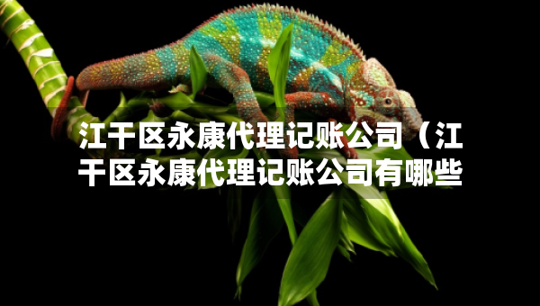 江干区永康代理记账公司（江干区永康代理记账公司有哪些）