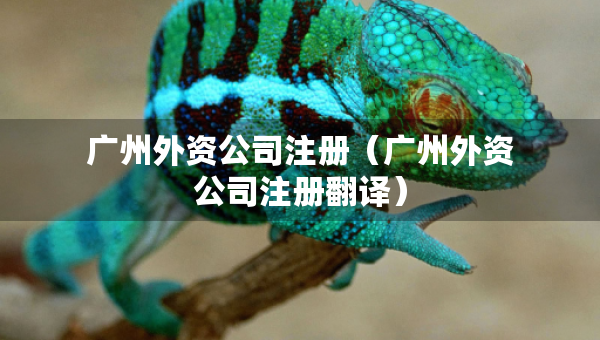 广州外资公司注册（广州外资公司注册翻译）