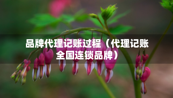 品牌代理记账过程（代理记账全国连锁品牌）