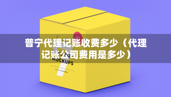 普宁代理记账收费多少（代理记账公司费用是多少）